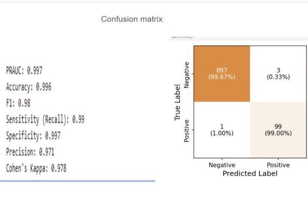 The Power of Transfer Learning