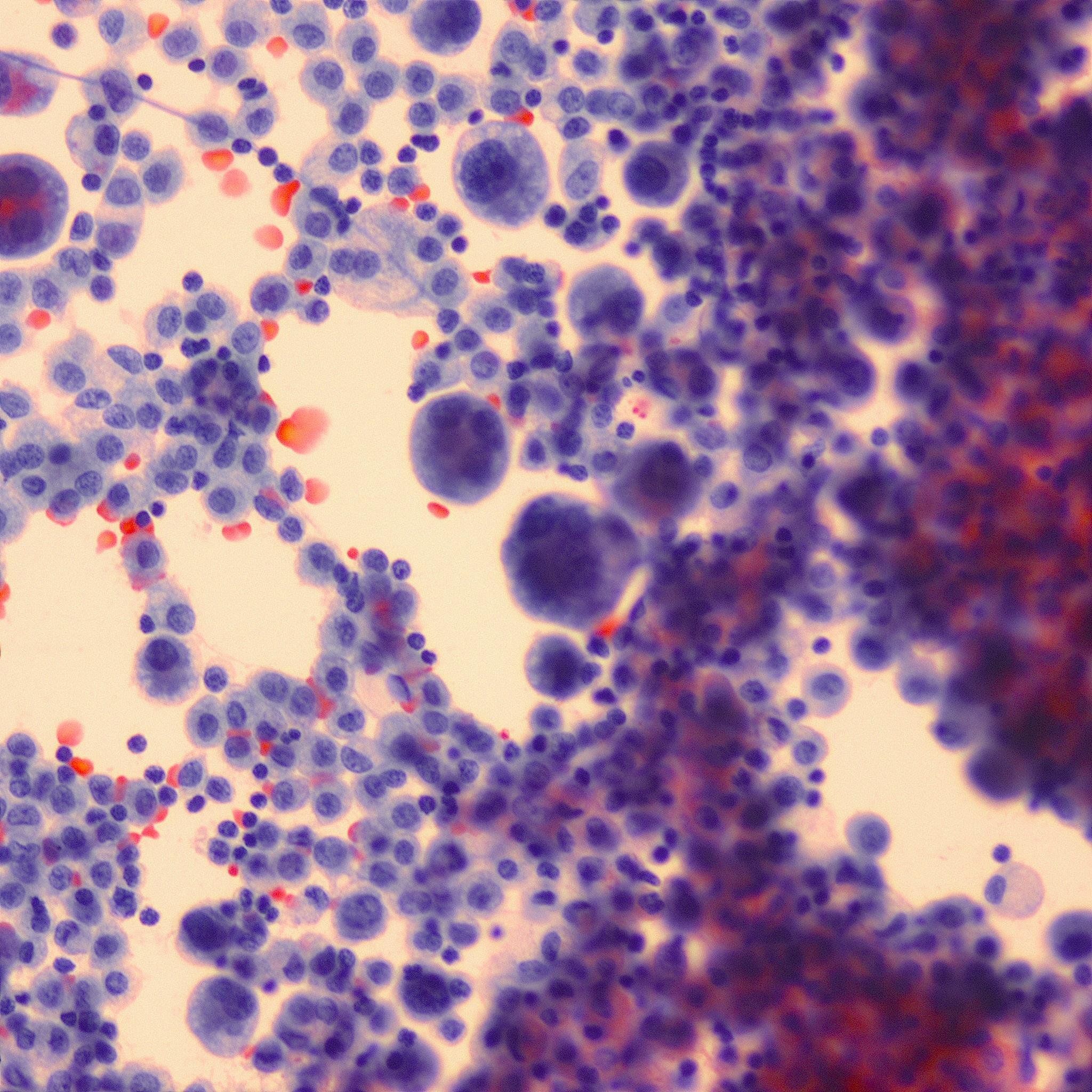 LBS Tomography Database